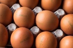 계란 이력, 껍데기 ‘표시정보’로 일원화