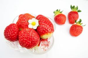 겨울 대표 과채 ‘딸기’로 보내는 건강한 겨울